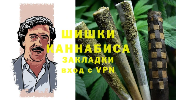 гидра Липки