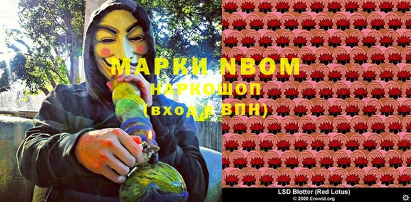 ПСИЛОЦИБИНОВЫЕ ГРИБЫ Лиски