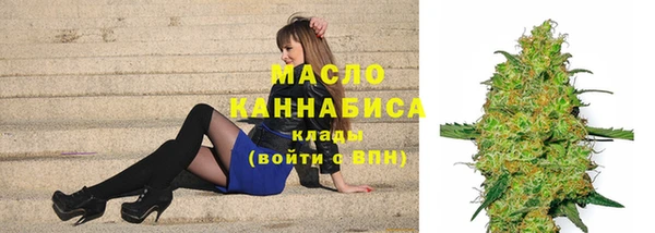гидра Липки