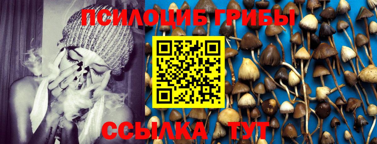 Краснодар  Псилоцибиновые грибы MAGIC MUSHROOMS  Вход с VPN  Галлюциногенные грибы прущие грибы 