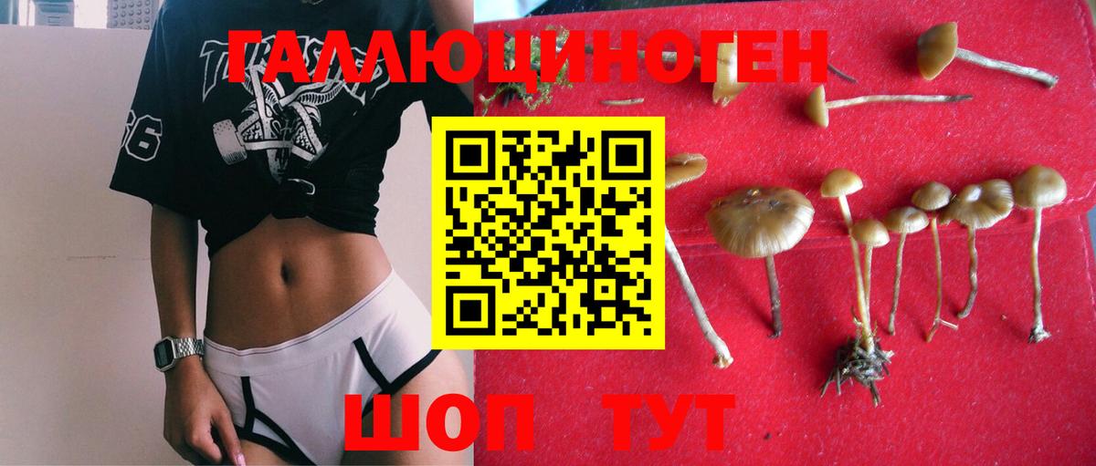 Галлюциногенные грибы мицелий Краснодар